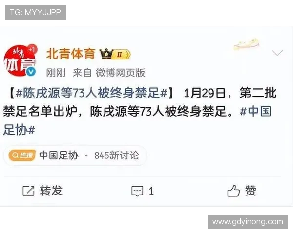 足协确认第三批禁足名单将出炉 足协确认第三批禁足名单将出炉